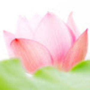 Meet your Posher, Princess